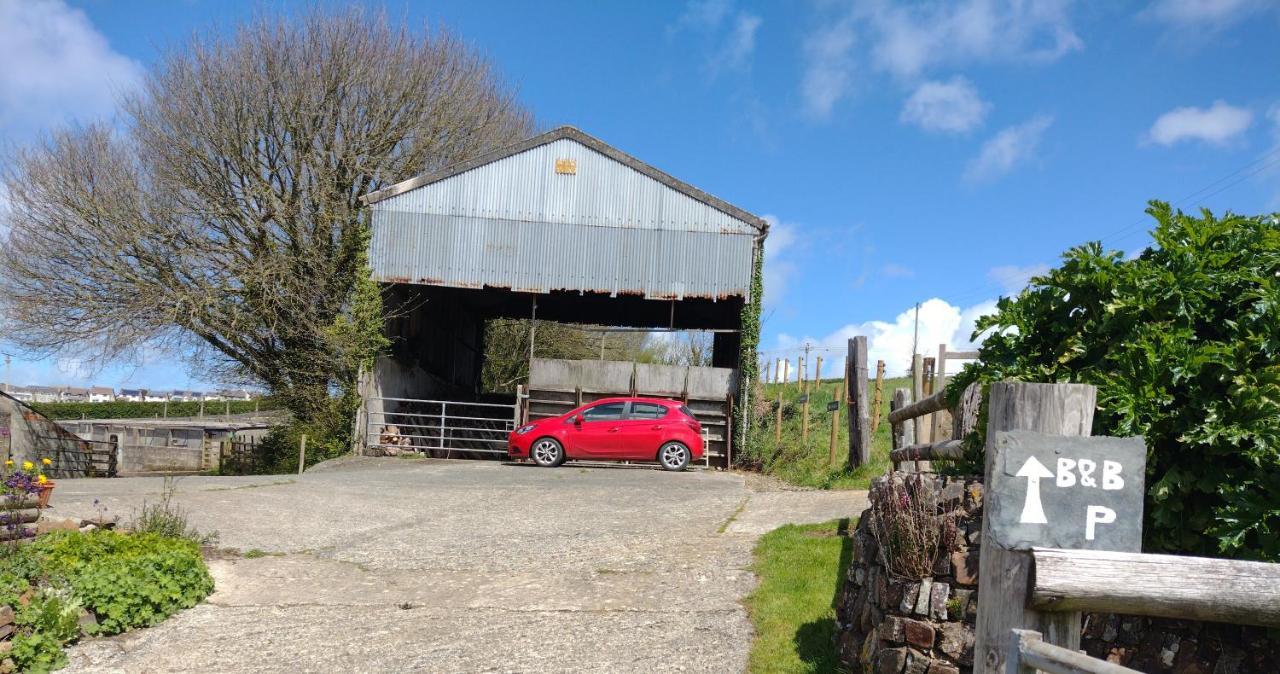 Sharlands Farm Bed And Breakfast Bude Dış mekan fotoğraf
